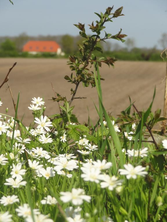 Hasselberg  Land & Meer מראה חיצוני תמונה